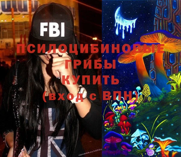 винт Абаза
