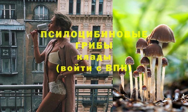 винт Абаза